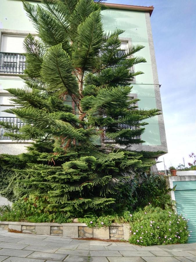 Apartmán Pisos Vistalegre 2B Con Jardin Cerca Del Mar Sanxenxo Exteriér fotografie